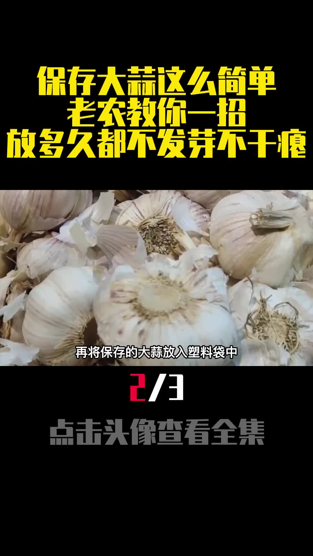 保存大蒜这么简单老农教你一招放多久都不发芽不干瘪2