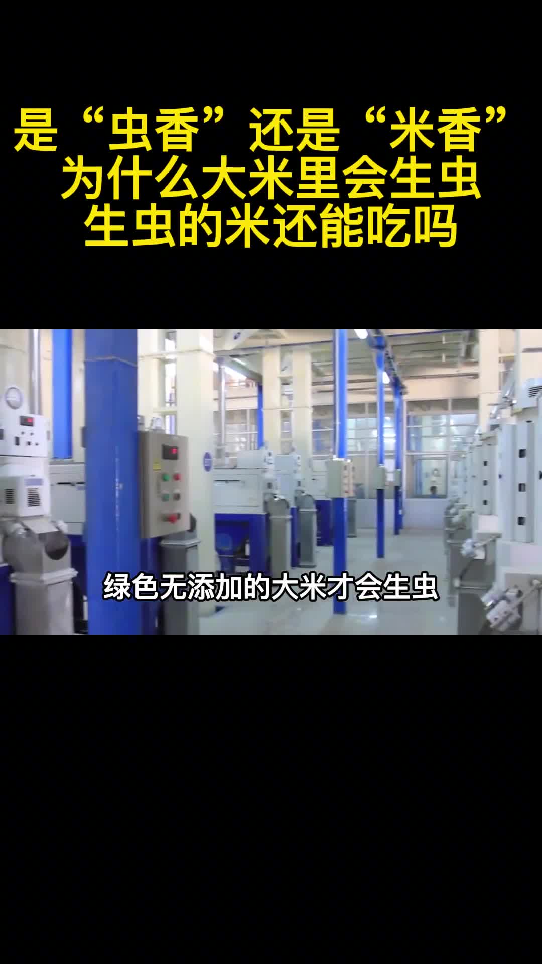 是虫香还是米香为什么大米里会生虫生虫的米还能吃吗3