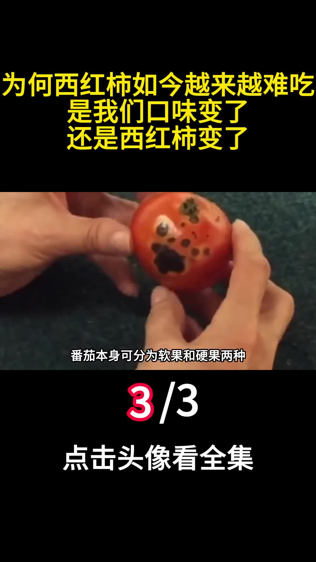 为何西红柿如今越来越难吃是我们口味变了还是西红柿变了3
