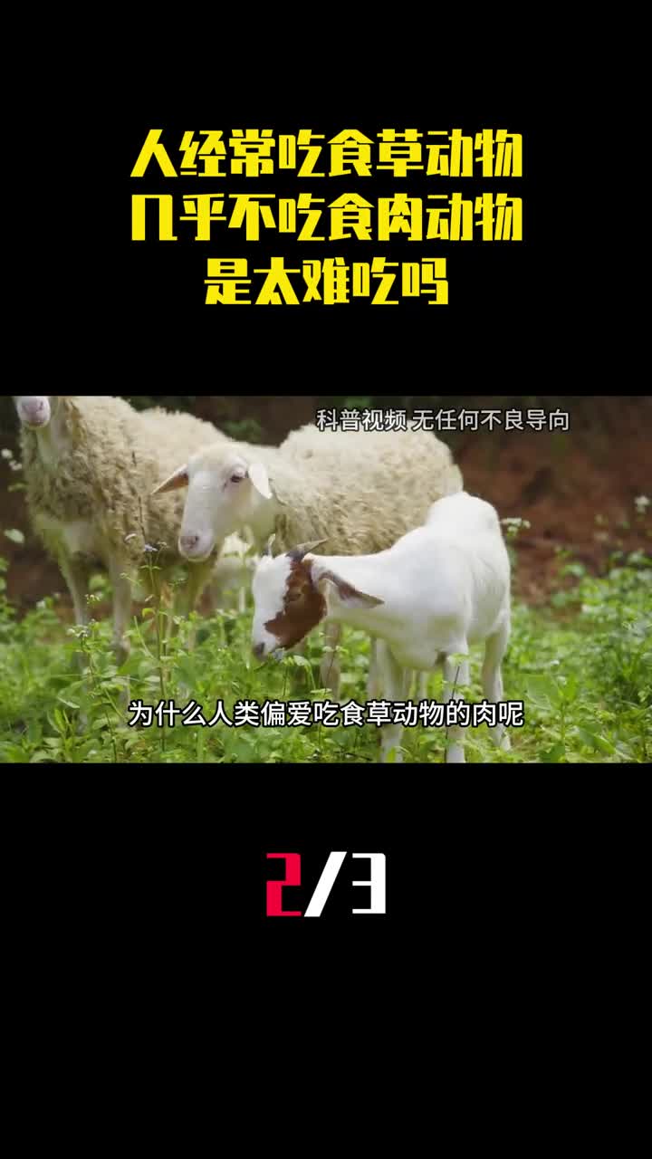 为何人吃的肉多来自食草动物几乎不吃食肉动物是太难吃吗2