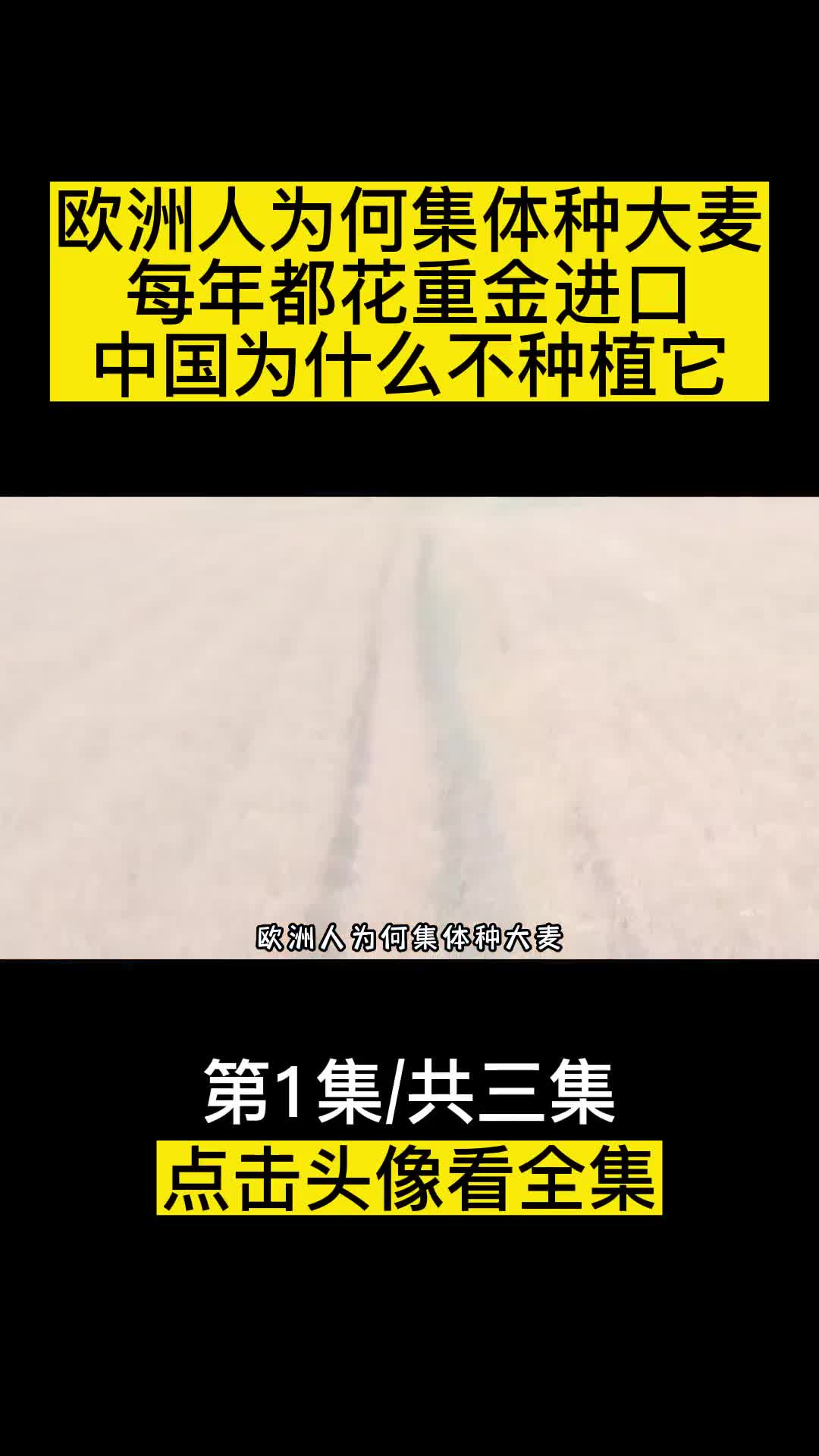 欧洲人为何集体种大麦中国每年都花重金进口为什么不种植呢