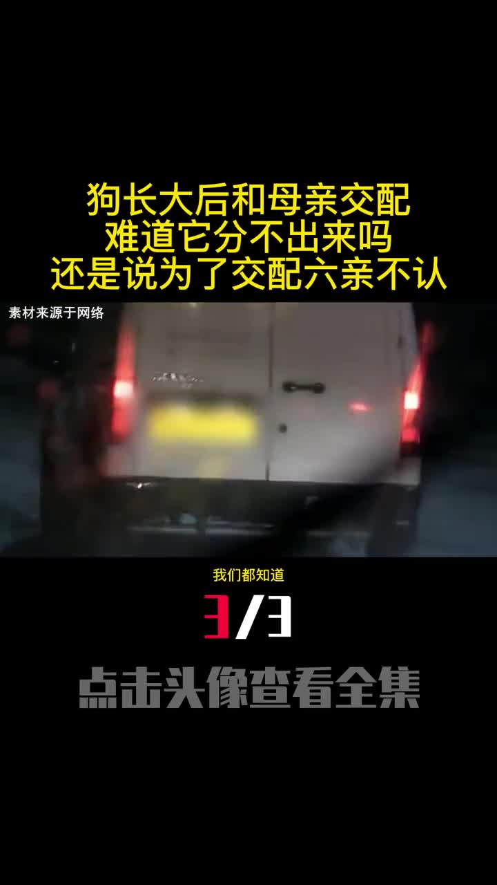 狗长大后和母亲交配难道它分不出来吗还是说为了交配六亲不认3