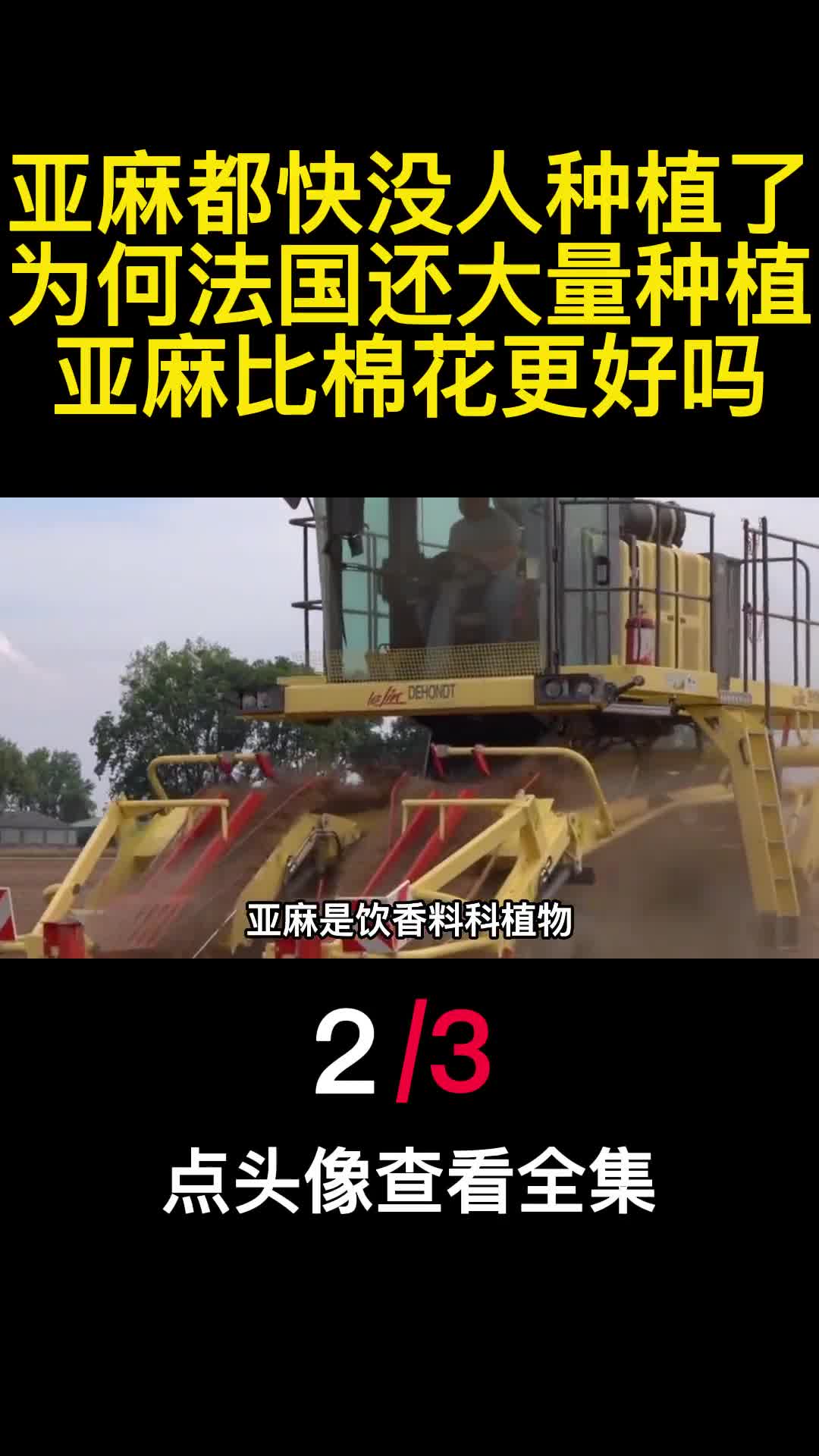 亚麻都快没人种植了为何法国还大量种植亚麻比棉花更好吗2