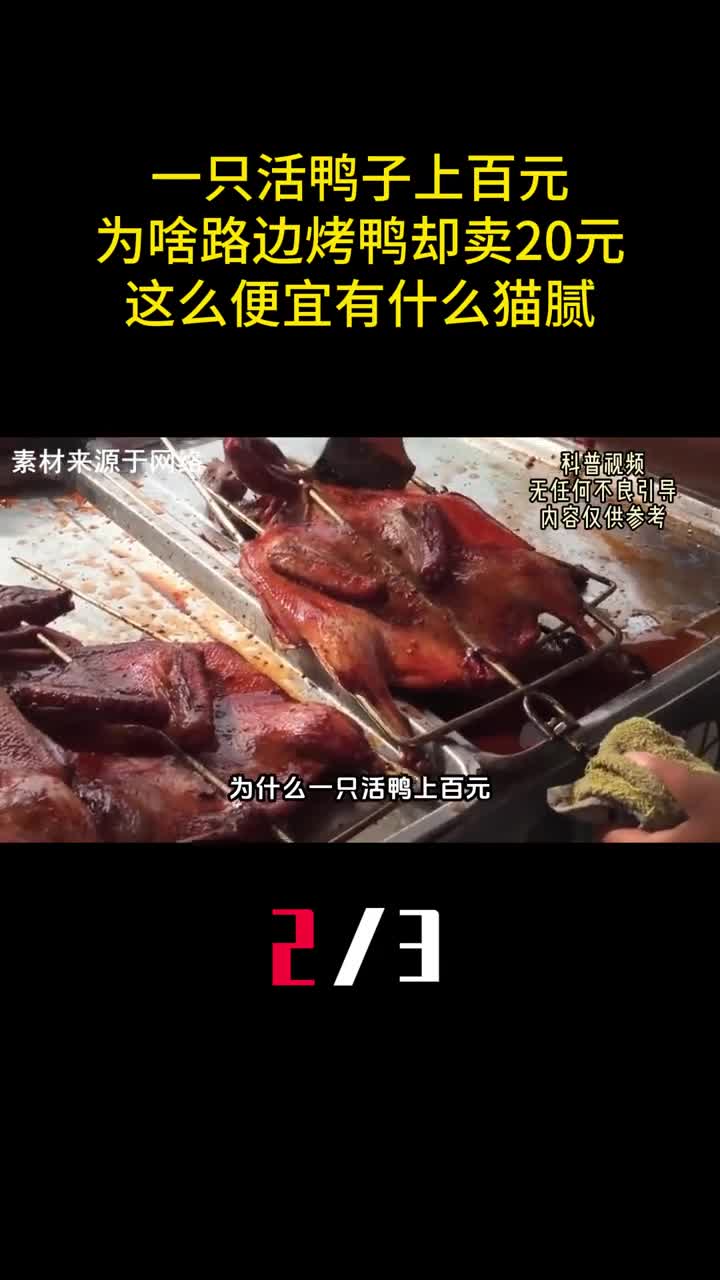一只活鸭子上百元为啥路边烤鸭却卖20元这么便宜有什么猫腻2