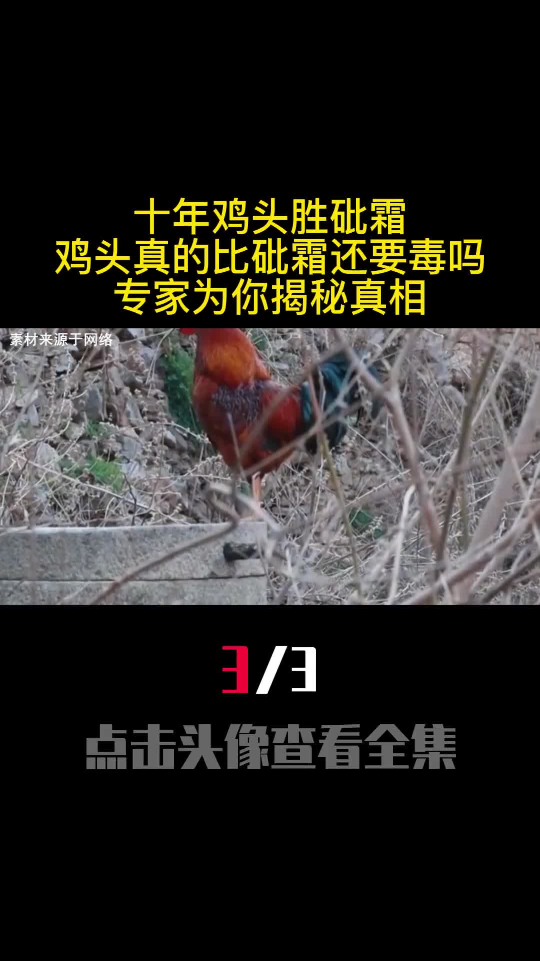 十年鸡头胜砒霜鸡头真的比砒霜还要毒吗专家为你揭秘真相3