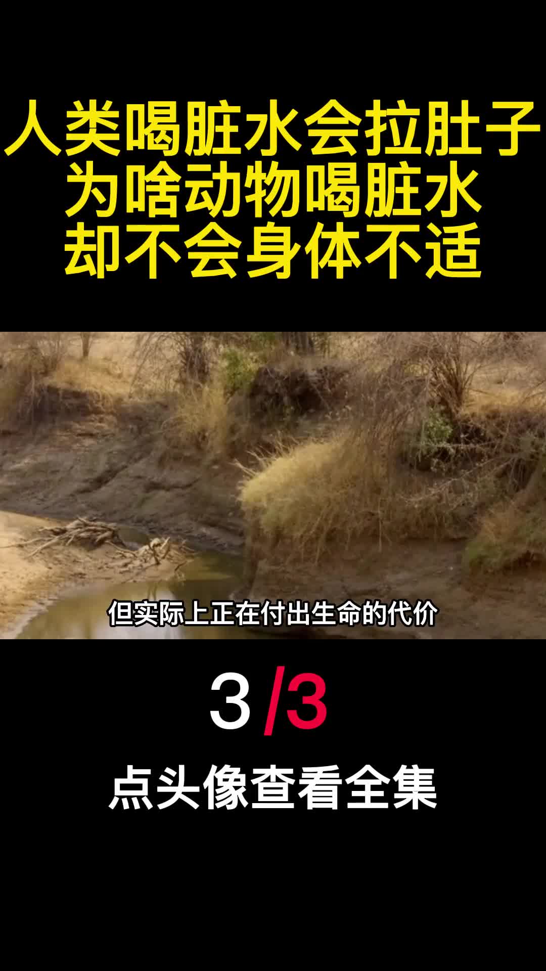 人类喝脏水会拉肚子为啥动物喝脏水却不会身体不适3