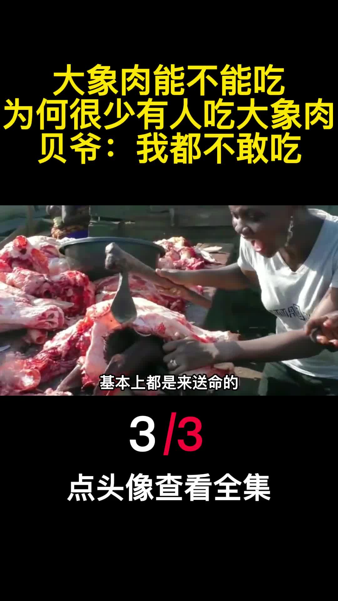 大象肉能不能吃为何很少有人吃大象肉贝爷我都不敢吃3