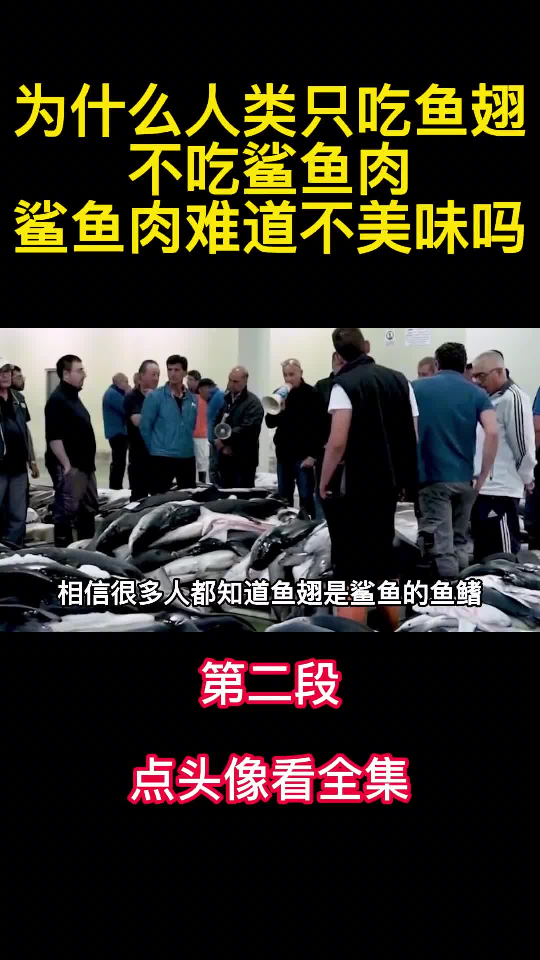 为什么人类只吃鱼翅不吃鲨鱼肉鲨鱼肉难道不美味吗2