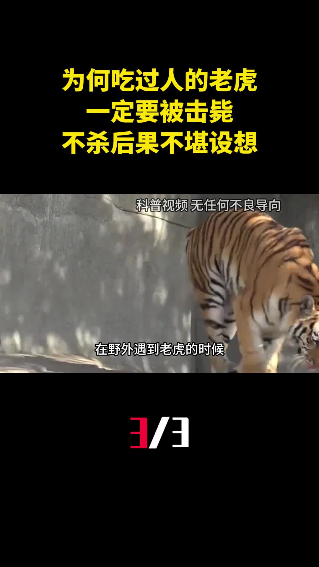 为何吃过人的老虎一定要被击毙专家不杀后果不堪设想3