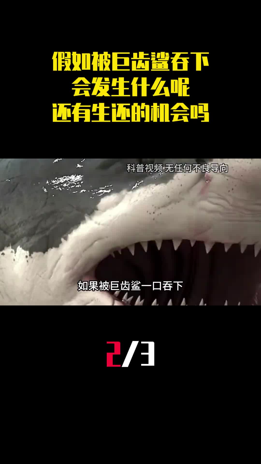 假如被巨齿鲨吞下会发生什么呢还有生还的机会吗2