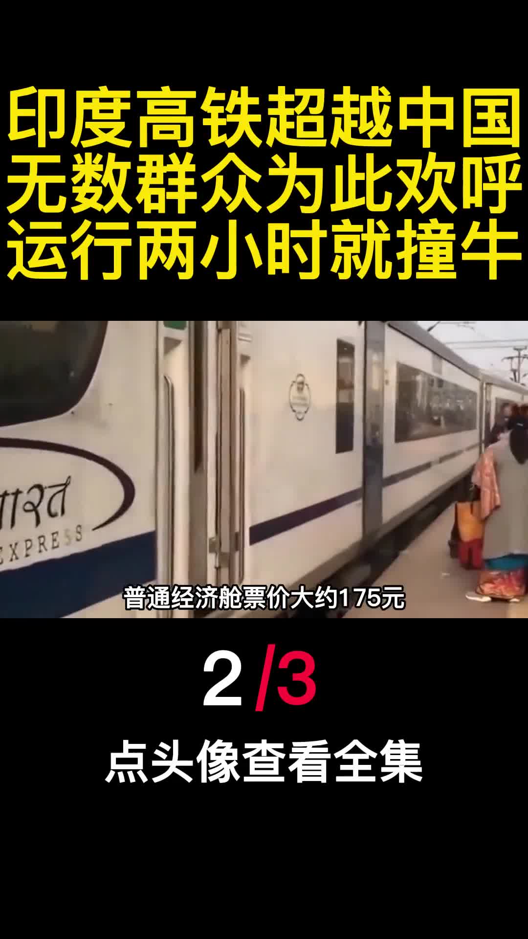 印度高铁超越中国无数群众为此欢呼运行两小时就撞牛2