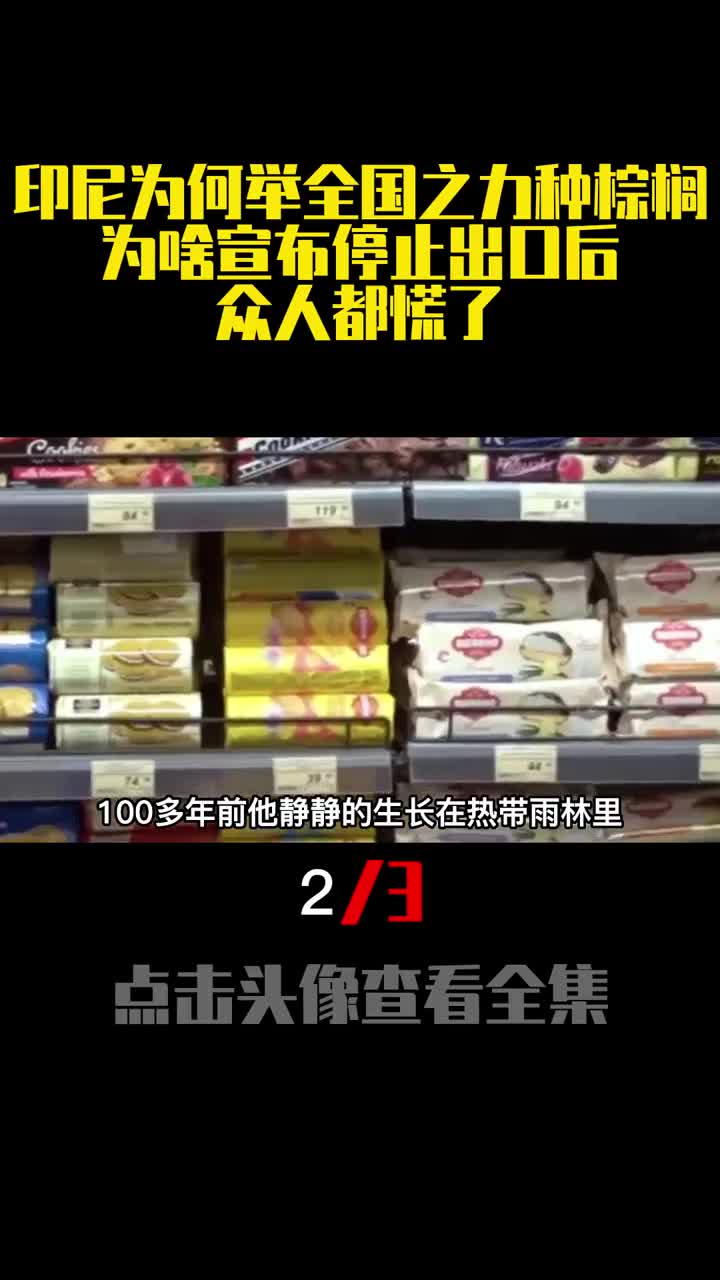 印尼为何举全国之力种棕榈为啥宣布停止出口后众人都慌了2