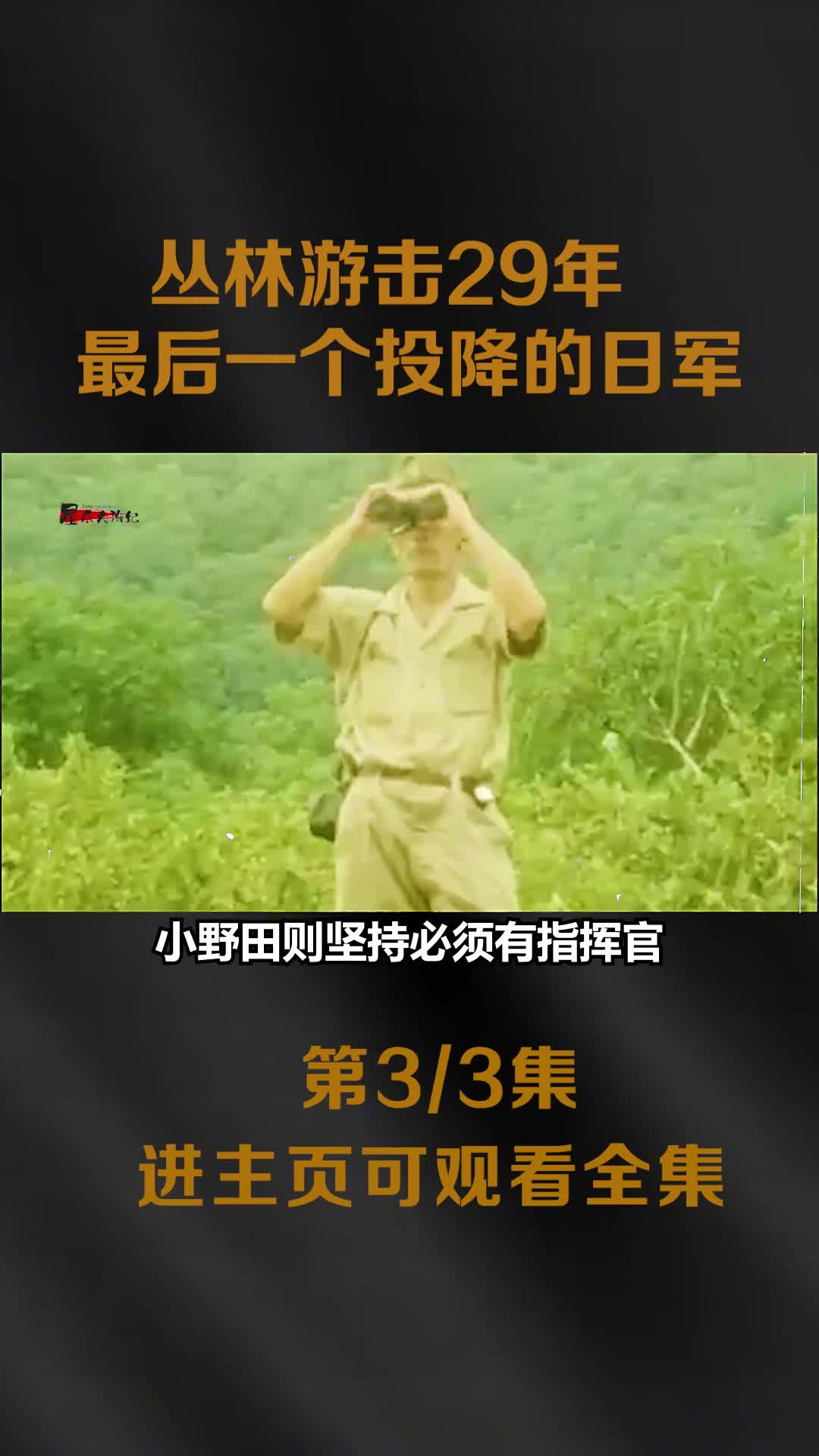 游击29年杀130人最后投降的日军真实影像菲律宾居为其举办接风宴