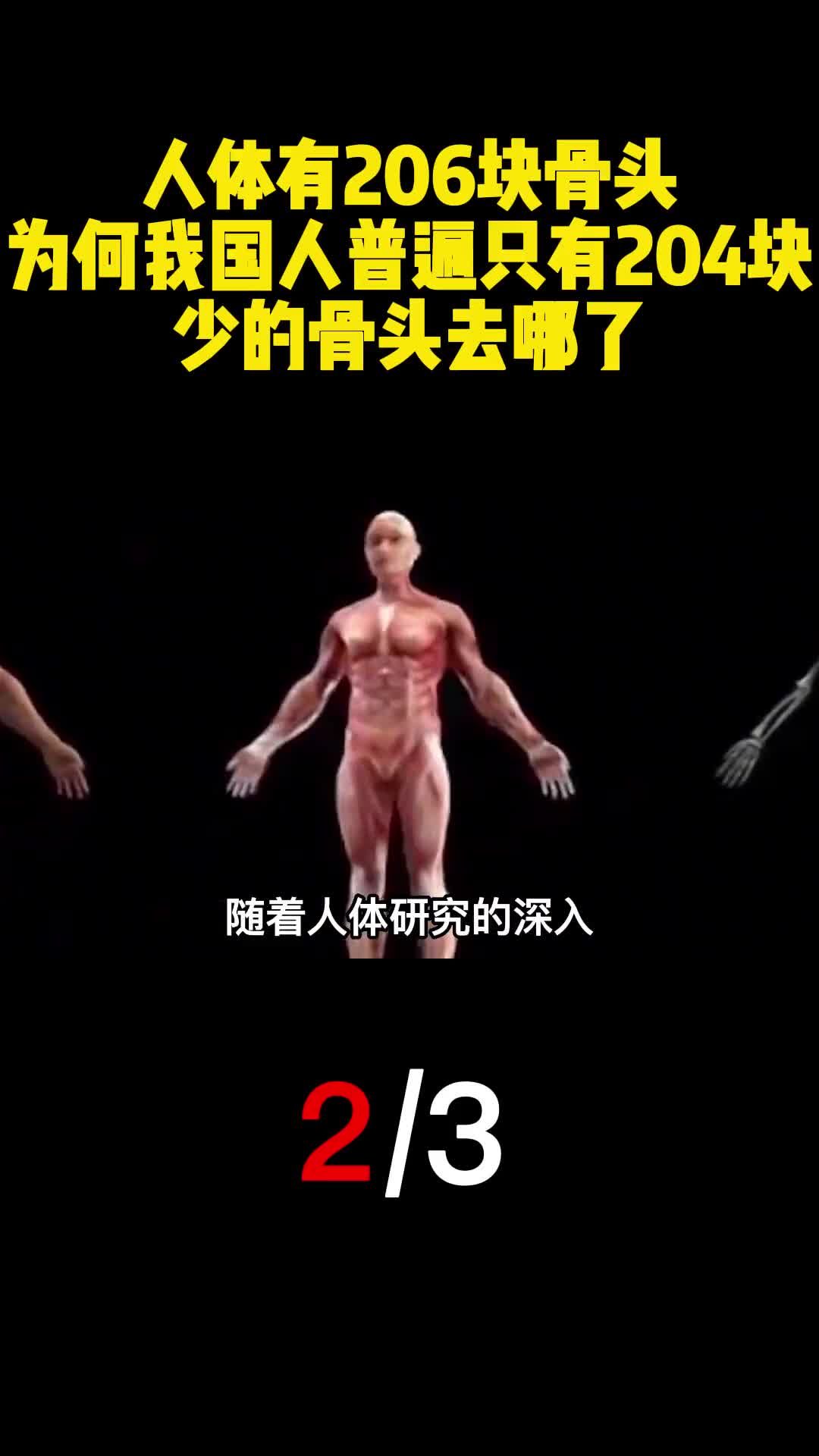 人体有206块骨头为何我国人普遍只有204块少的骨头去哪了2