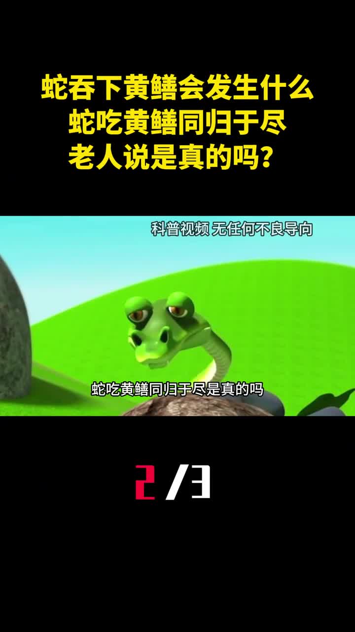 蛇吞下黄鳝会发生什么老人说蛇吃黄鳝同归于尽是真的吗2