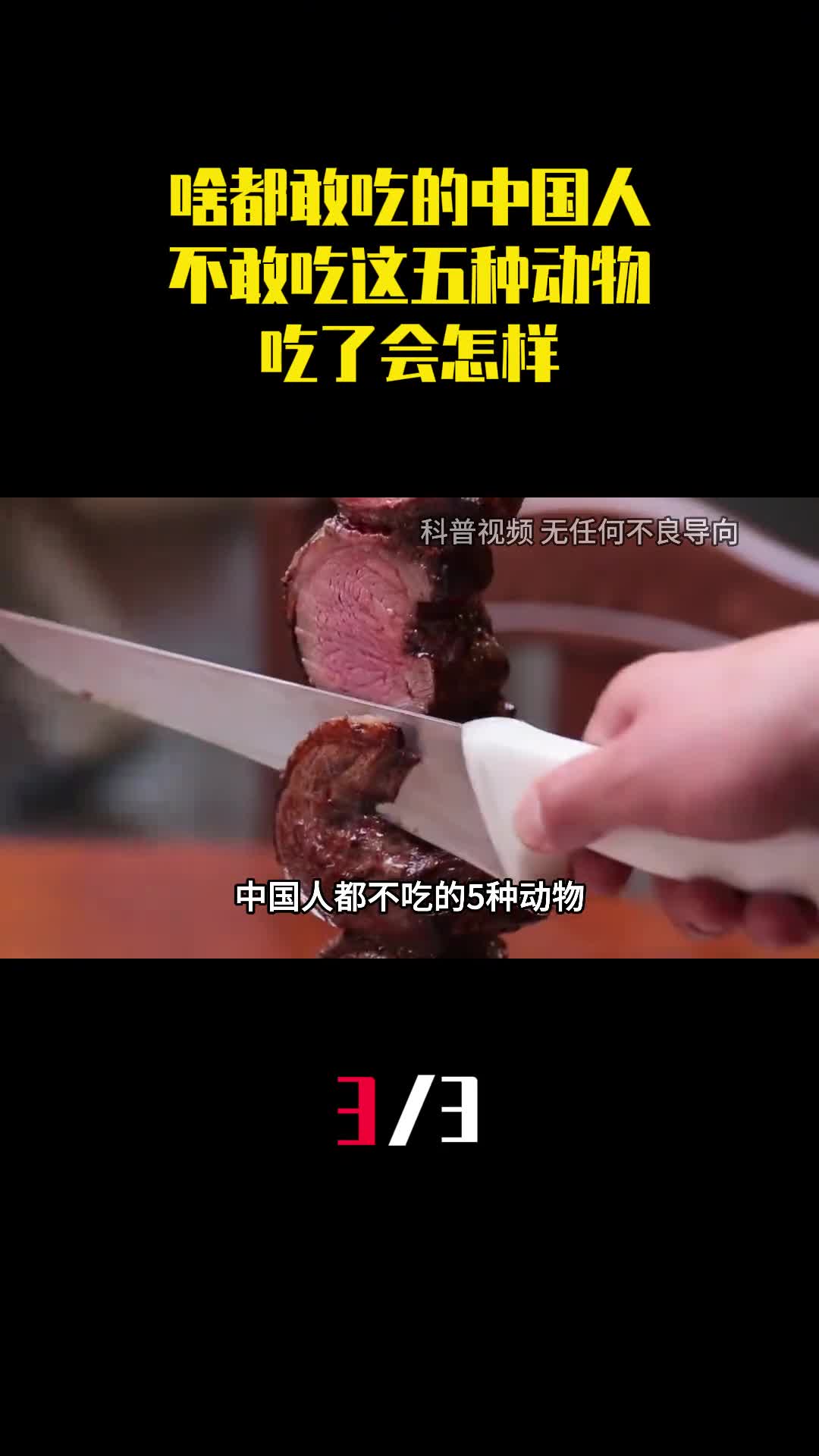 啥都敢吃的中国人为什么不敢吃这五种动物吃了会怎样3