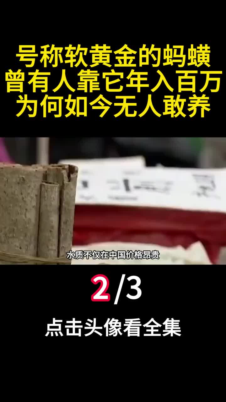 号称软黄金的蚂蟥曾有人靠它年入百万为何如今无人敢养二