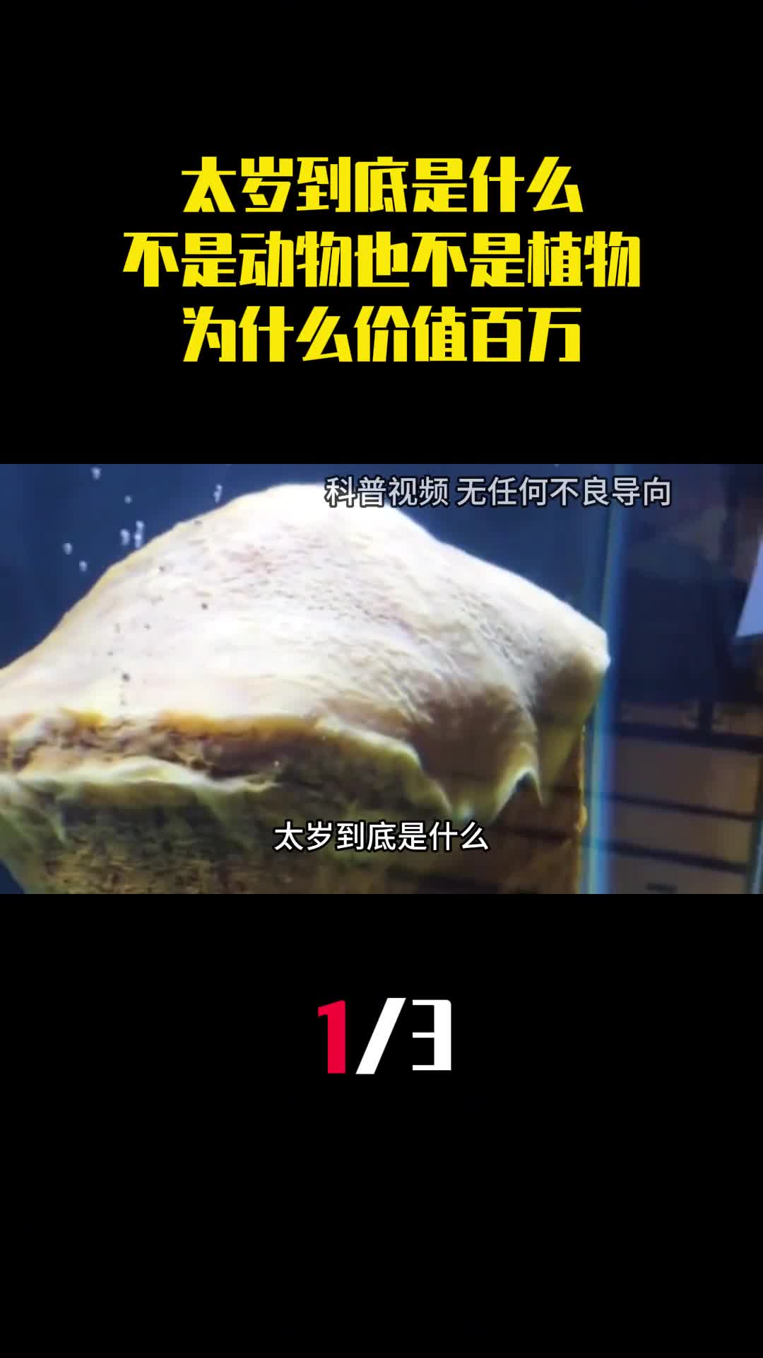 太岁到底是什么不是动物也不是植物为什么价值百万1