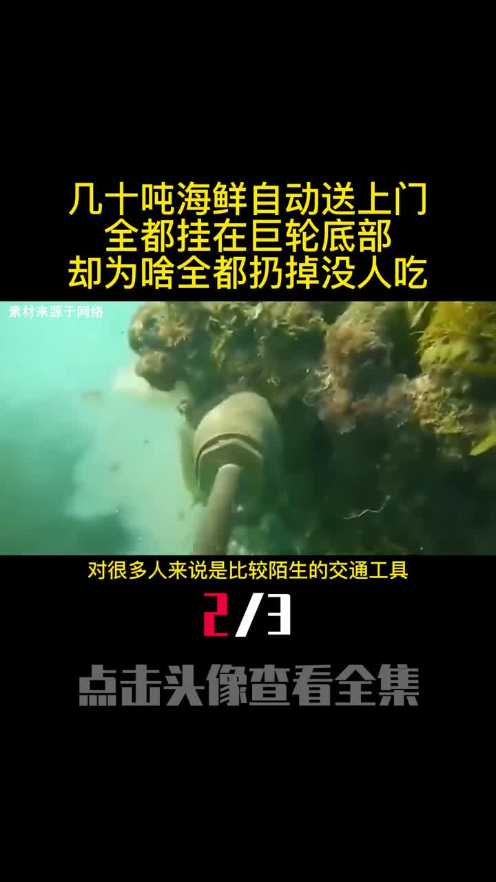 几十吨海鲜自动送上门全都挂在巨轮底部却为啥全都扔掉没人吃2