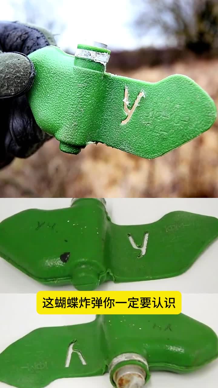 这蝴蝶炸弹你一定要认识