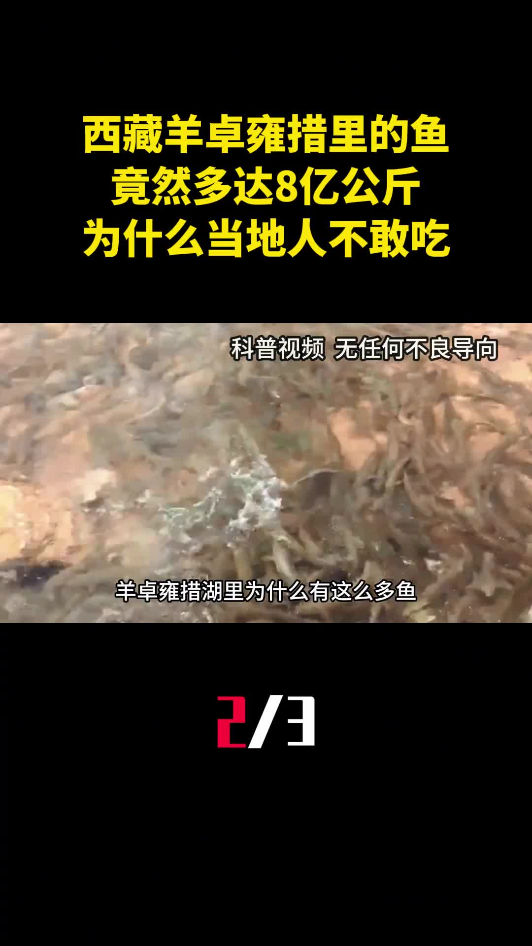 西藏羊卓雍措里的鱼竟然多达8亿公斤为什么当地人不敢吃2