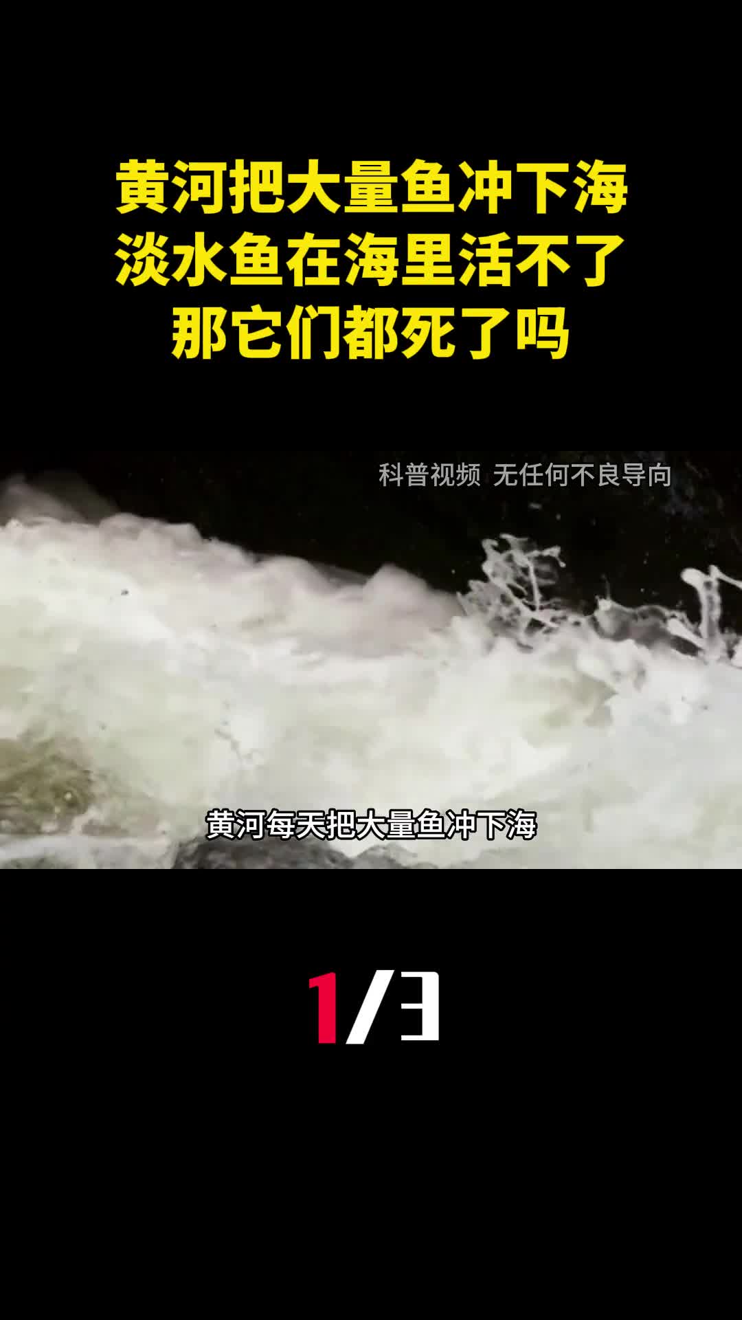黄河每天把大量鱼冲下海淡水鱼在海里活不了那它们都死了吗1