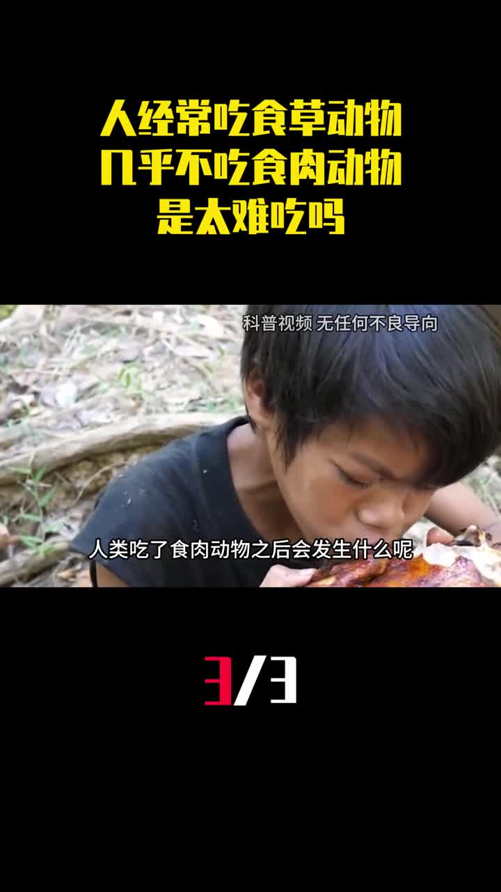 为何人吃的肉多来自食草动物几乎不吃食肉动物是太难吃吗3