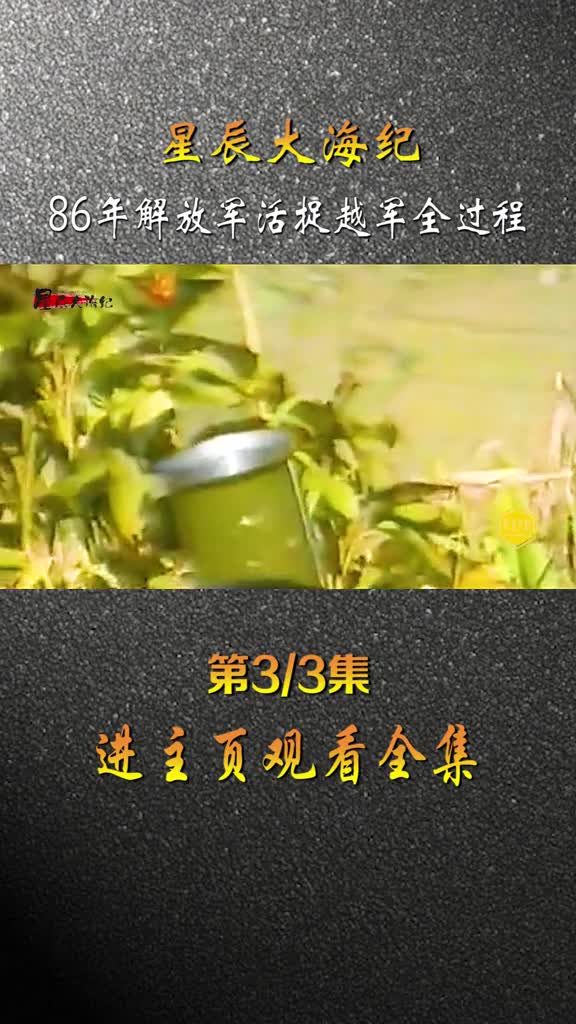 86年老山轮站活捉越军真实影像