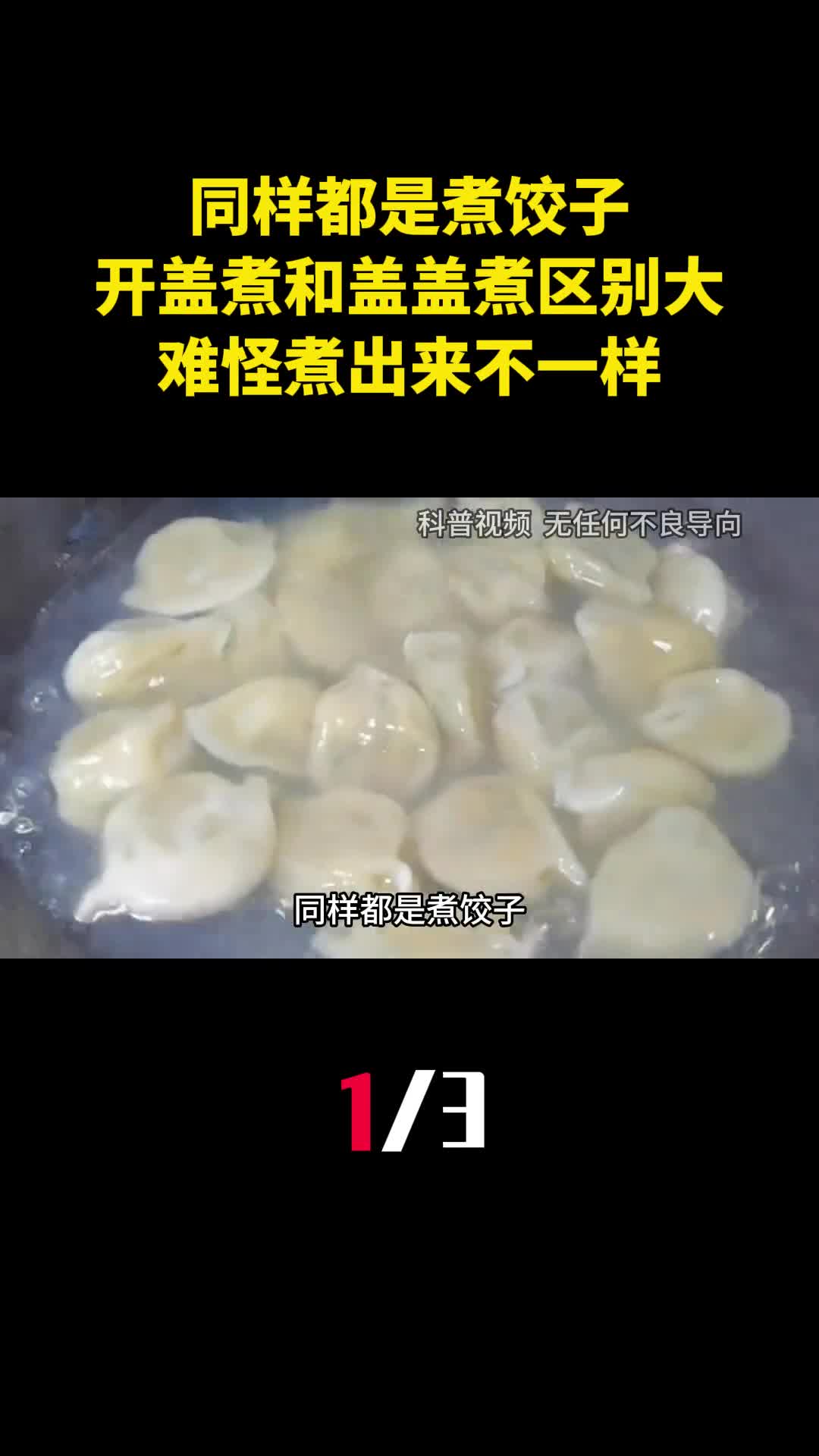 同样都是煮饺子开盖煮和盖盖煮区别很大难怪煮出来不一样1