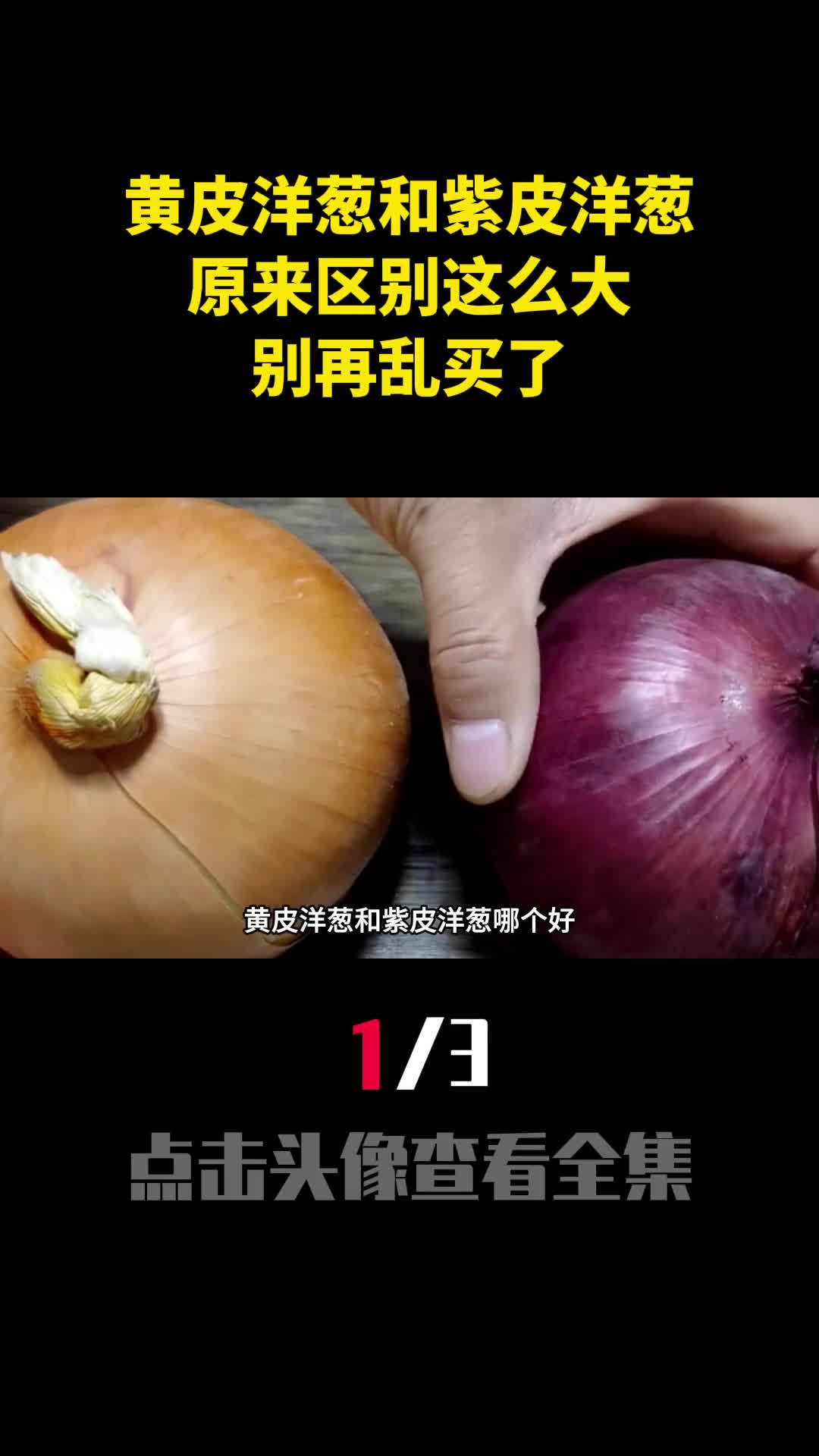 黄皮洋葱和紫皮洋葱哪个好原来区别这么大别再乱买了1
