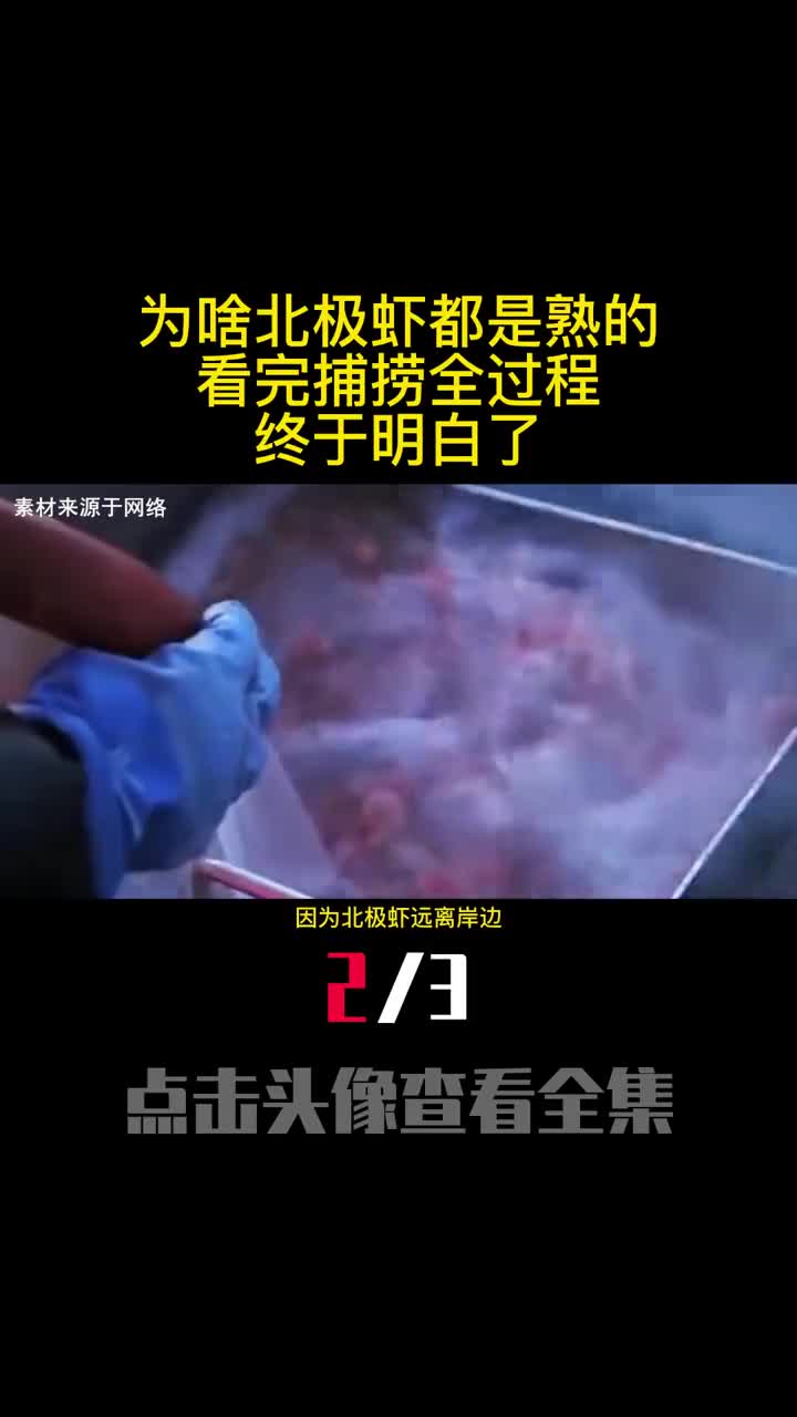 为啥北极虾都是熟的看完捕捞全过程终于明白了2
