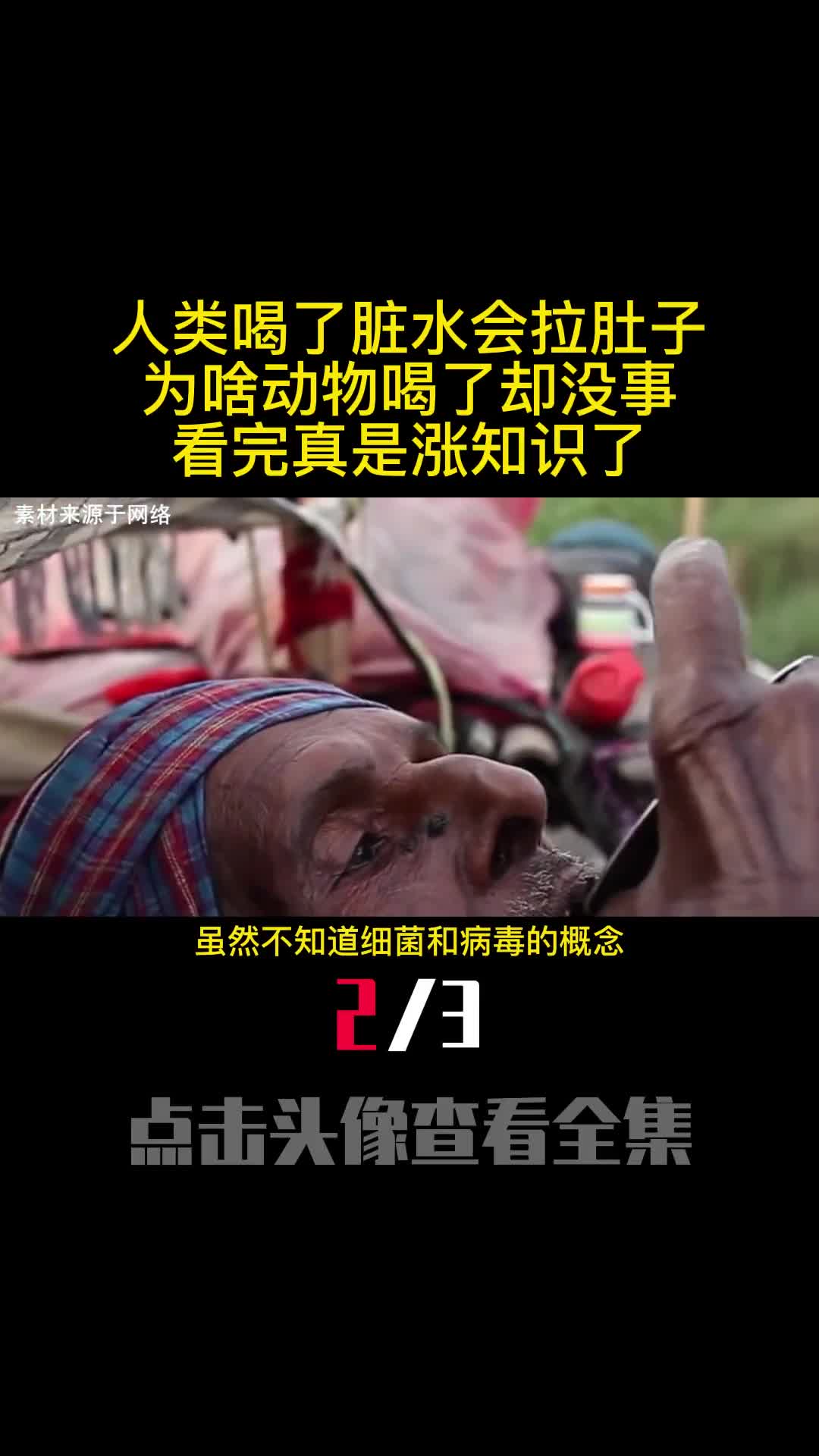 人类喝了脏水会拉肚子为啥动物喝了却没事看完真是涨知识了2