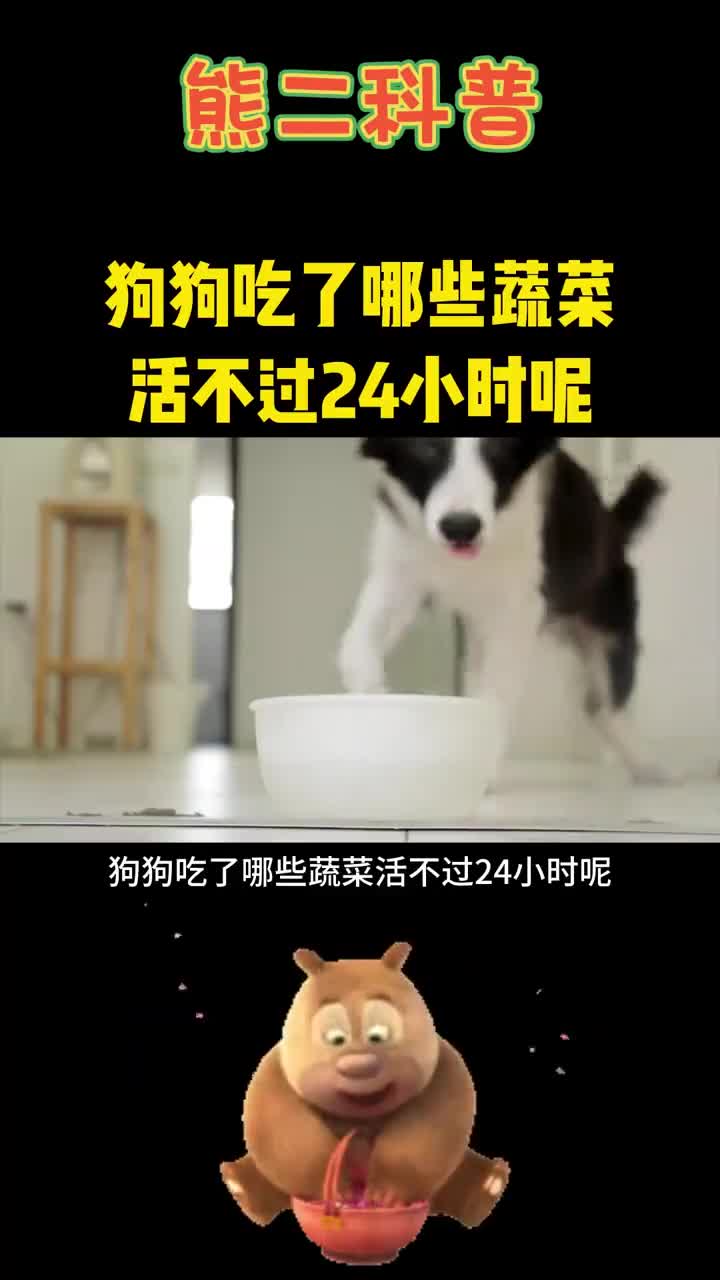 狗狗吃了哪些蔬菜活不过24小时呢