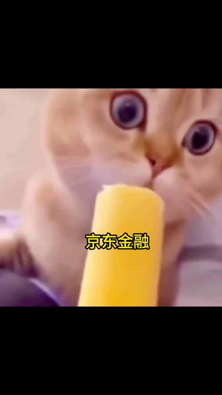 京东金融守护每一刻安心