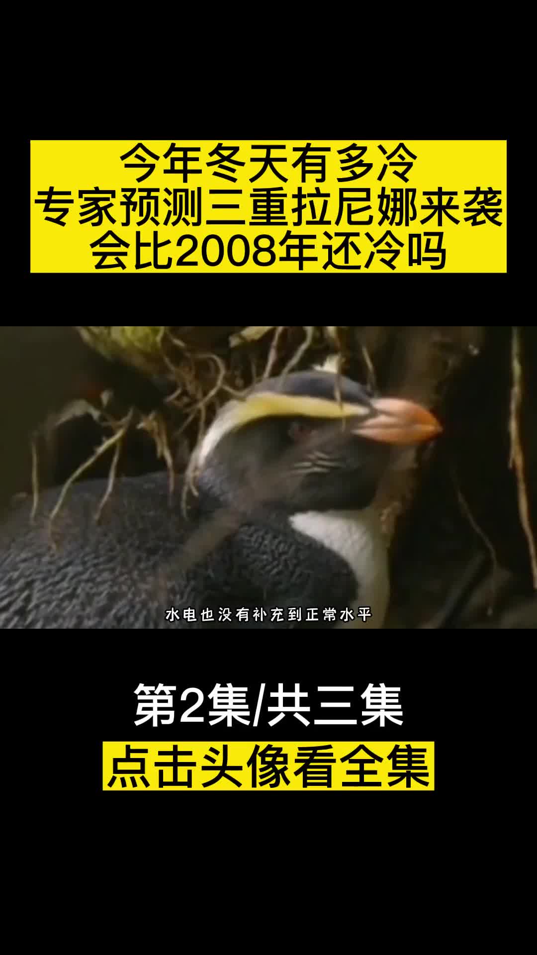 今年冬天有多冷专家预测三重拉尼娜来袭会比2008年还冷吗