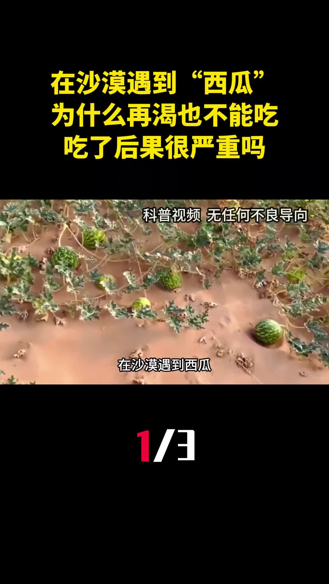 在沙漠遇到西瓜为什么再渴也不能吃吃了后果很严重吗1