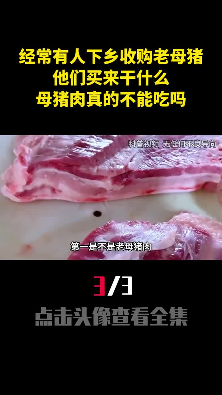 经常有人下乡收购老母猪他们买来干什么母猪肉真的不能吃吗3
