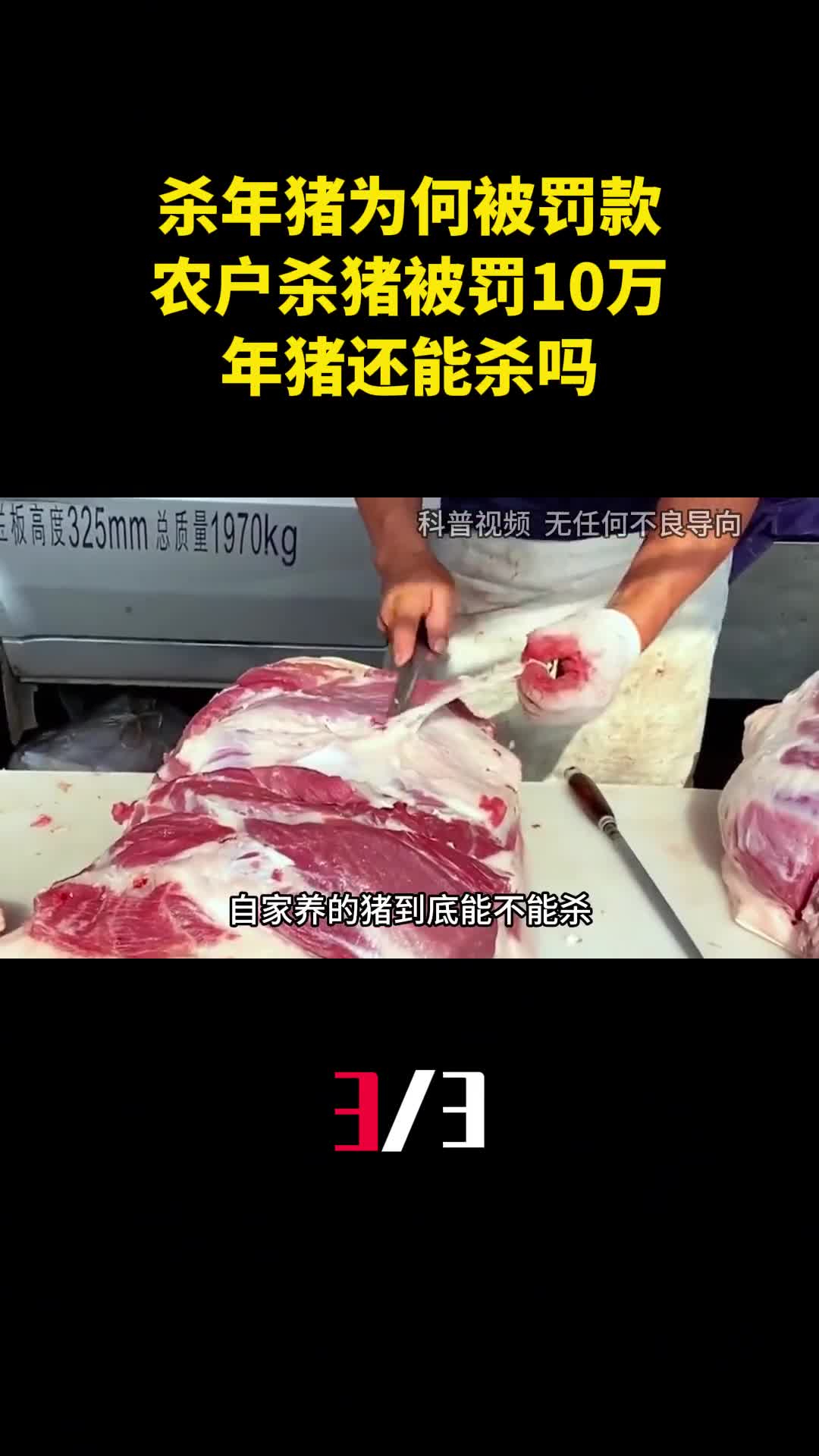杀年猪为何被罚款多个农户杀猪被罚10万年猪还能杀吗3