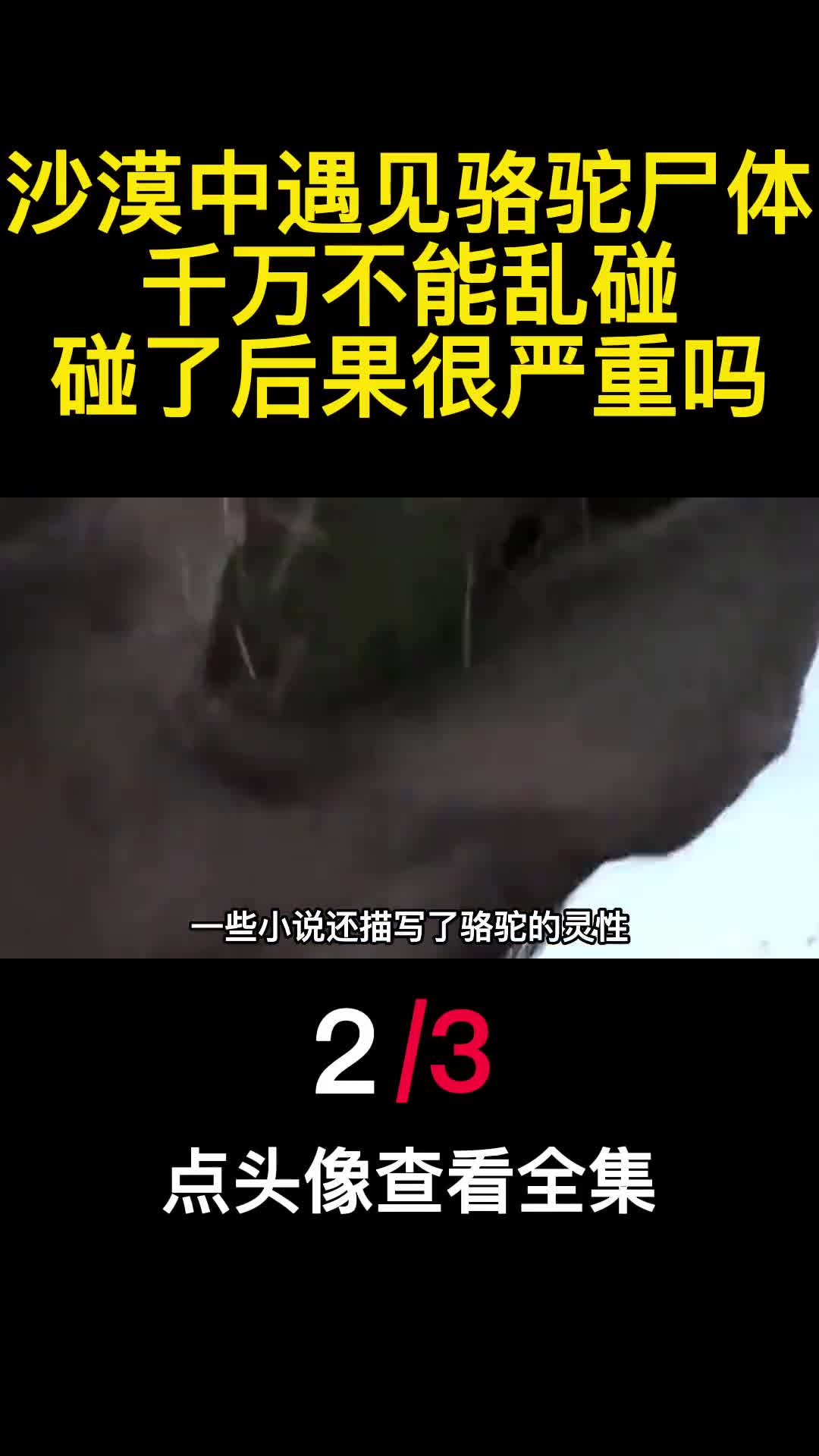 沙漠中遇见骆驼尸体千万不能乱碰碰了后果很严重吗2