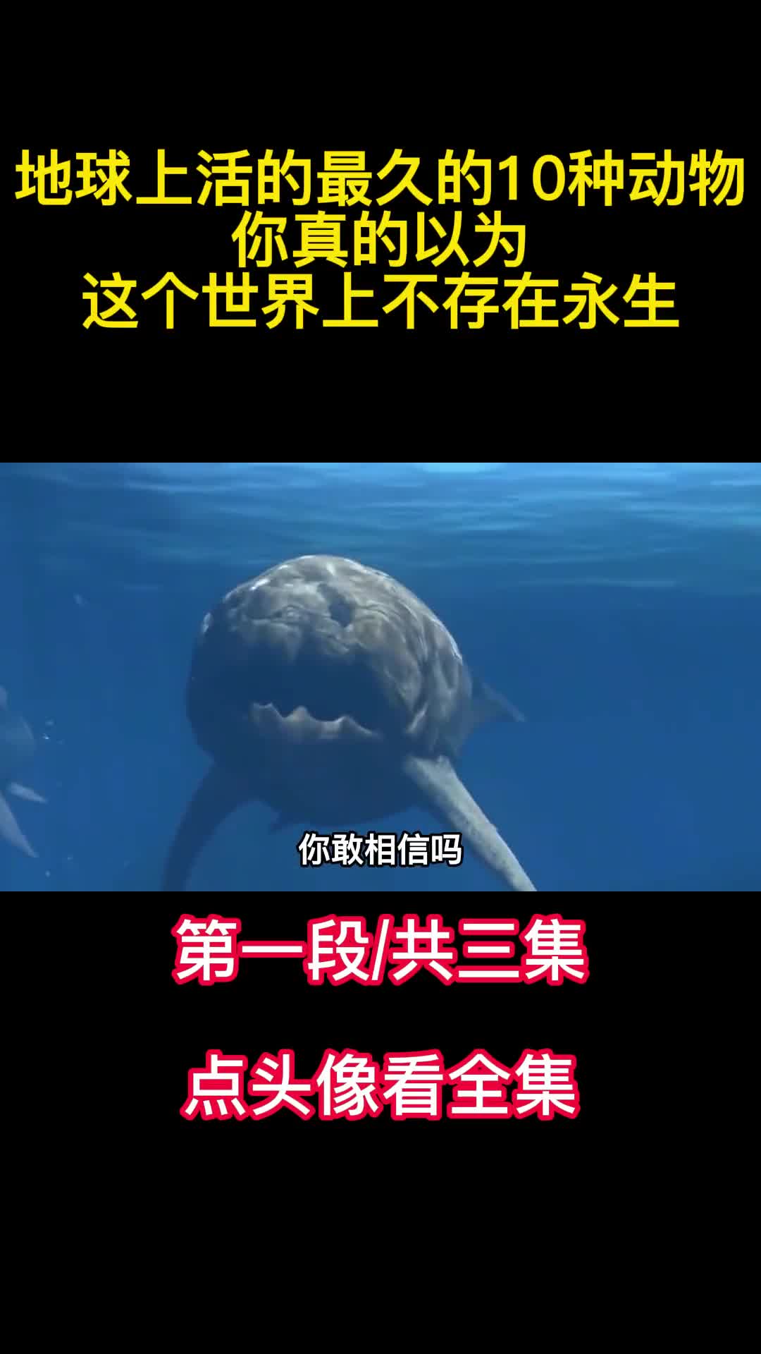 地球上活的最久的10种动物你真的以为这个世界上不存在永生1