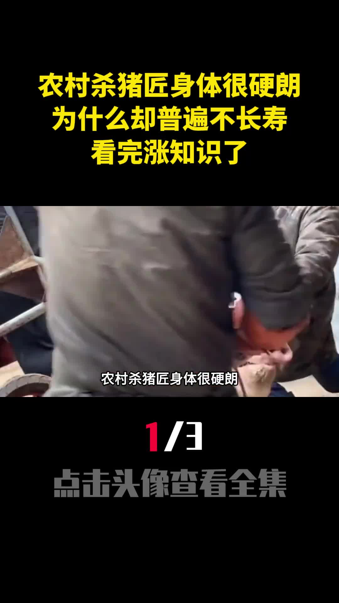 农村杀猪匠身体很硬朗为什么却普遍不长寿看完涨知识了1