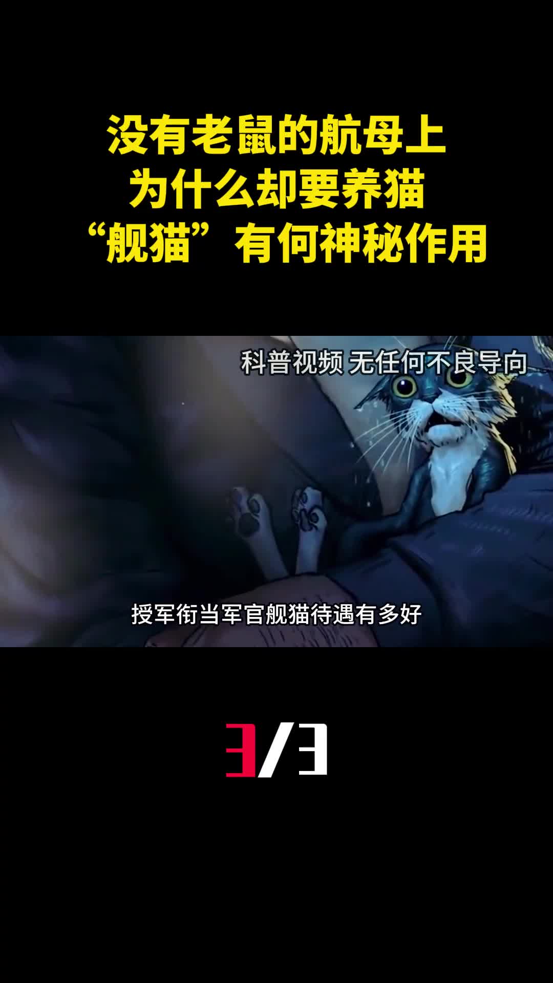 没有老鼠的航母上为什么却要养猫舰猫有何神秘作用3