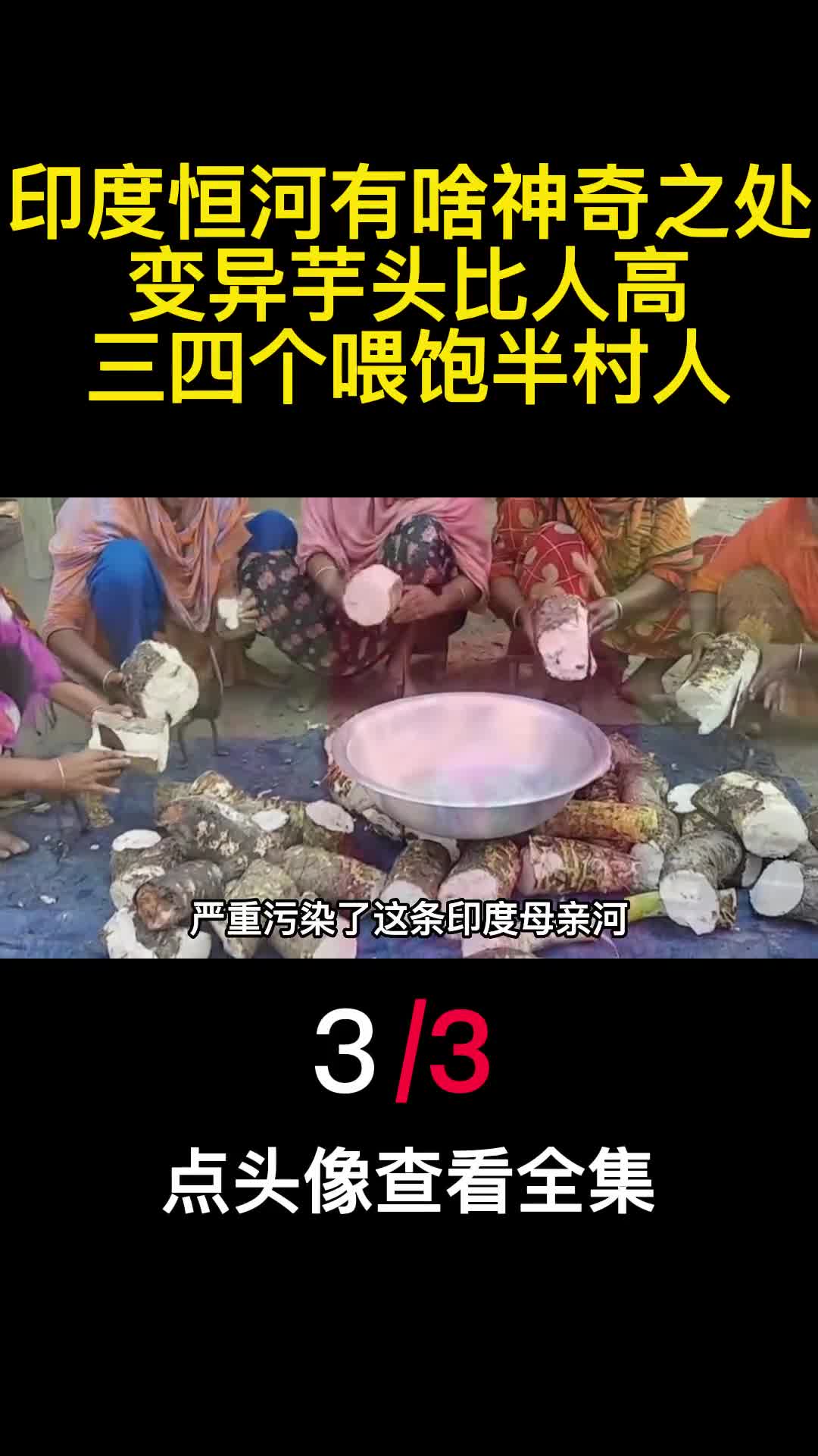 印度恒河有啥神奇之处变异芋头比人高三四个喂饱半村人3