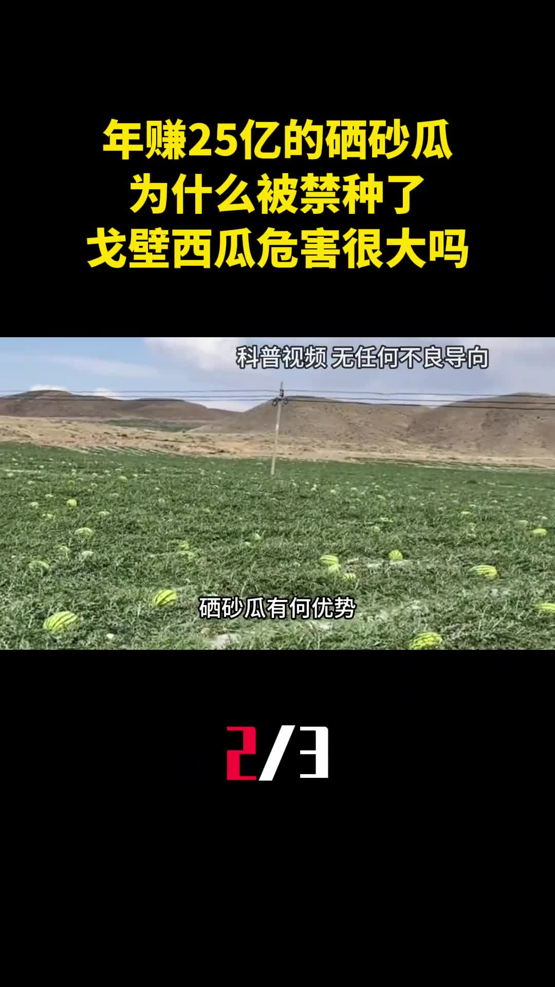 年赚25亿的硒砂瓜为什么被禁种了戈壁西瓜危害很大吗2