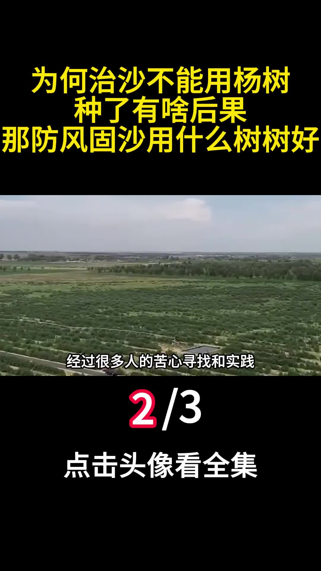为何治沙不能用杨树种了有啥后果那防风固沙用什么树树好2