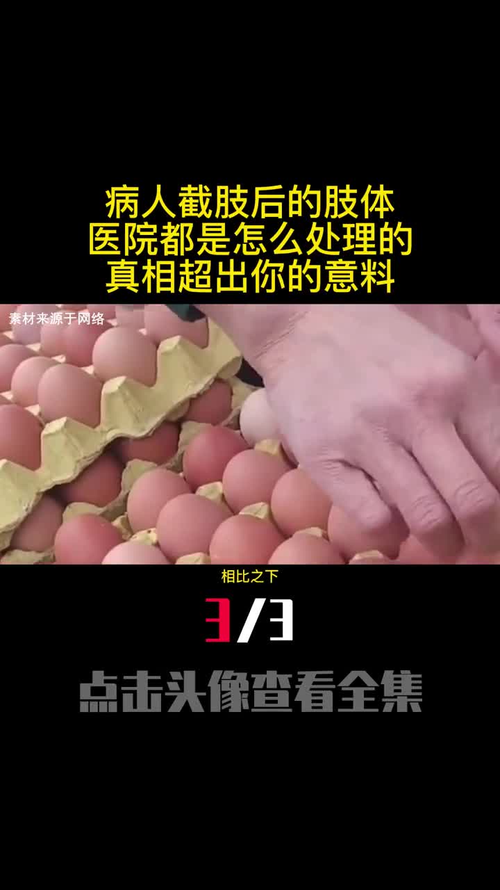 鸡蛋比鸭蛋有营养吗为啥人们都吃鸡蛋却很少吃鸭蛋3