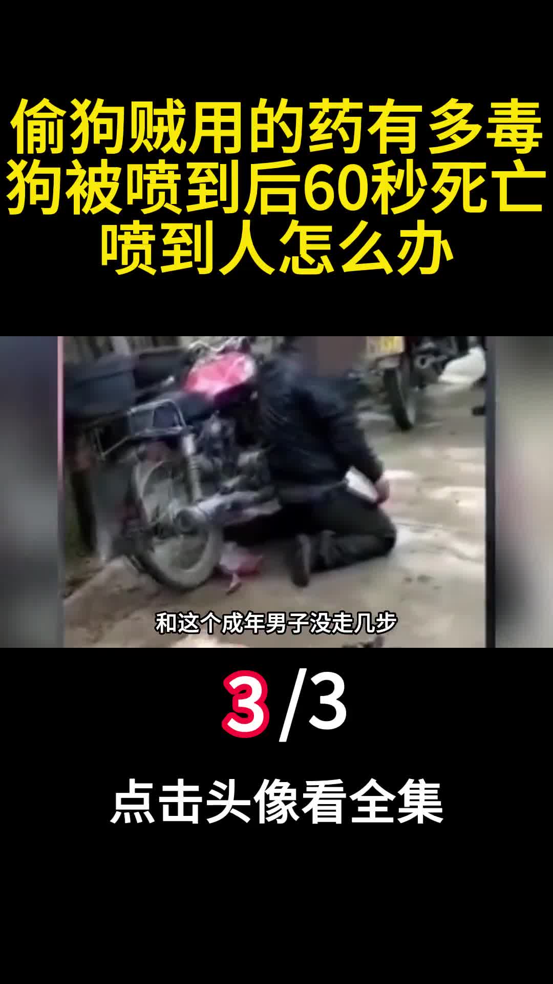 偷狗贼用的药有多毒狗被喷到后60秒死亡喷到人怎么办3