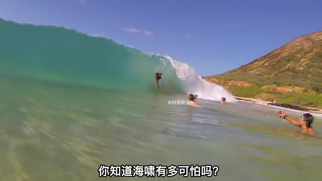难得被拍到的惊险海啸镜头太可怕了三