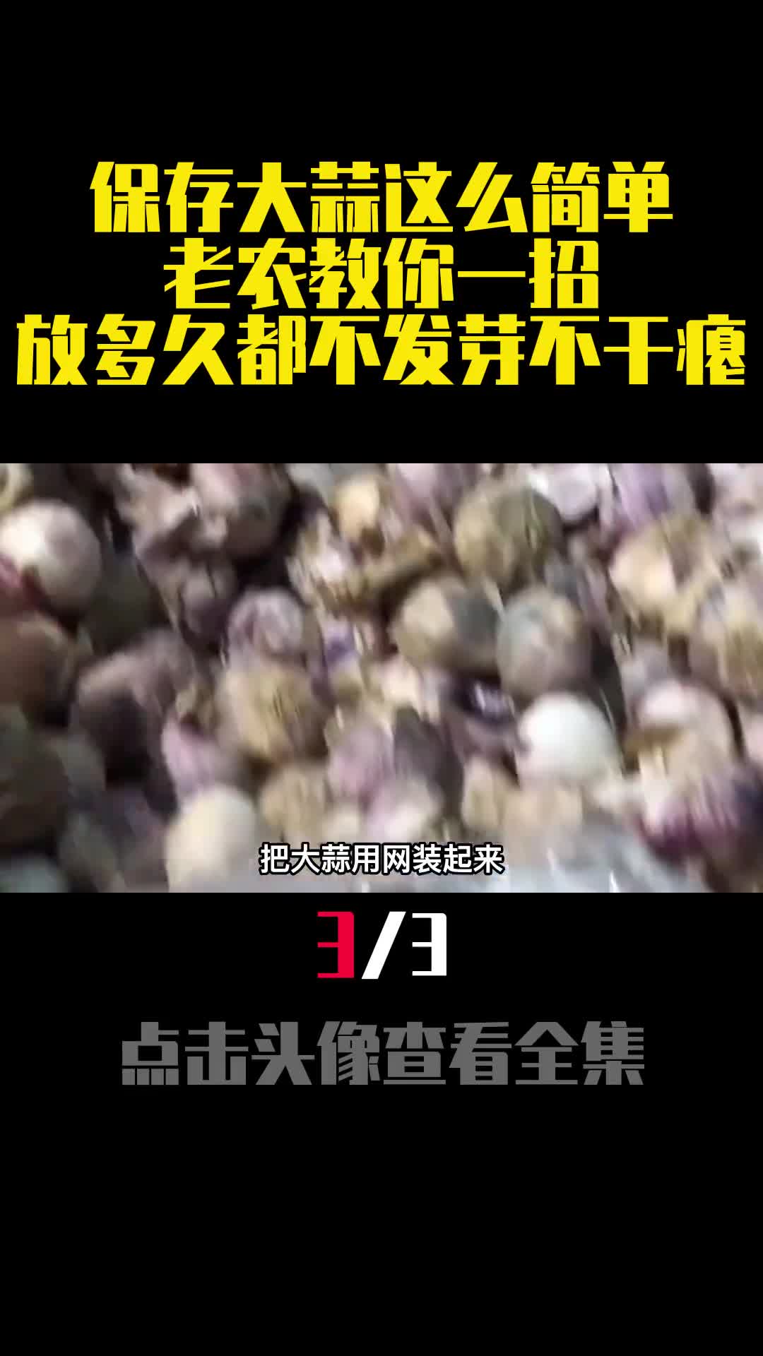 保存大蒜这么简单老农教你一招放多久都不发芽不干瘪3