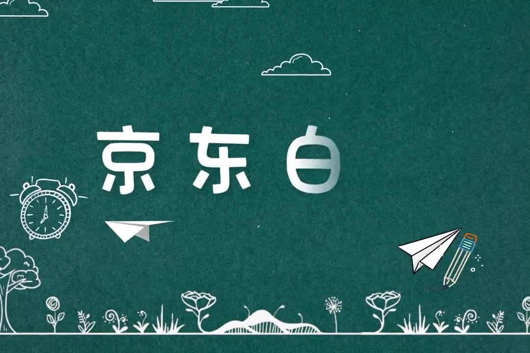 轻松管理财务京东白条让每一分钱都用在刀刃上